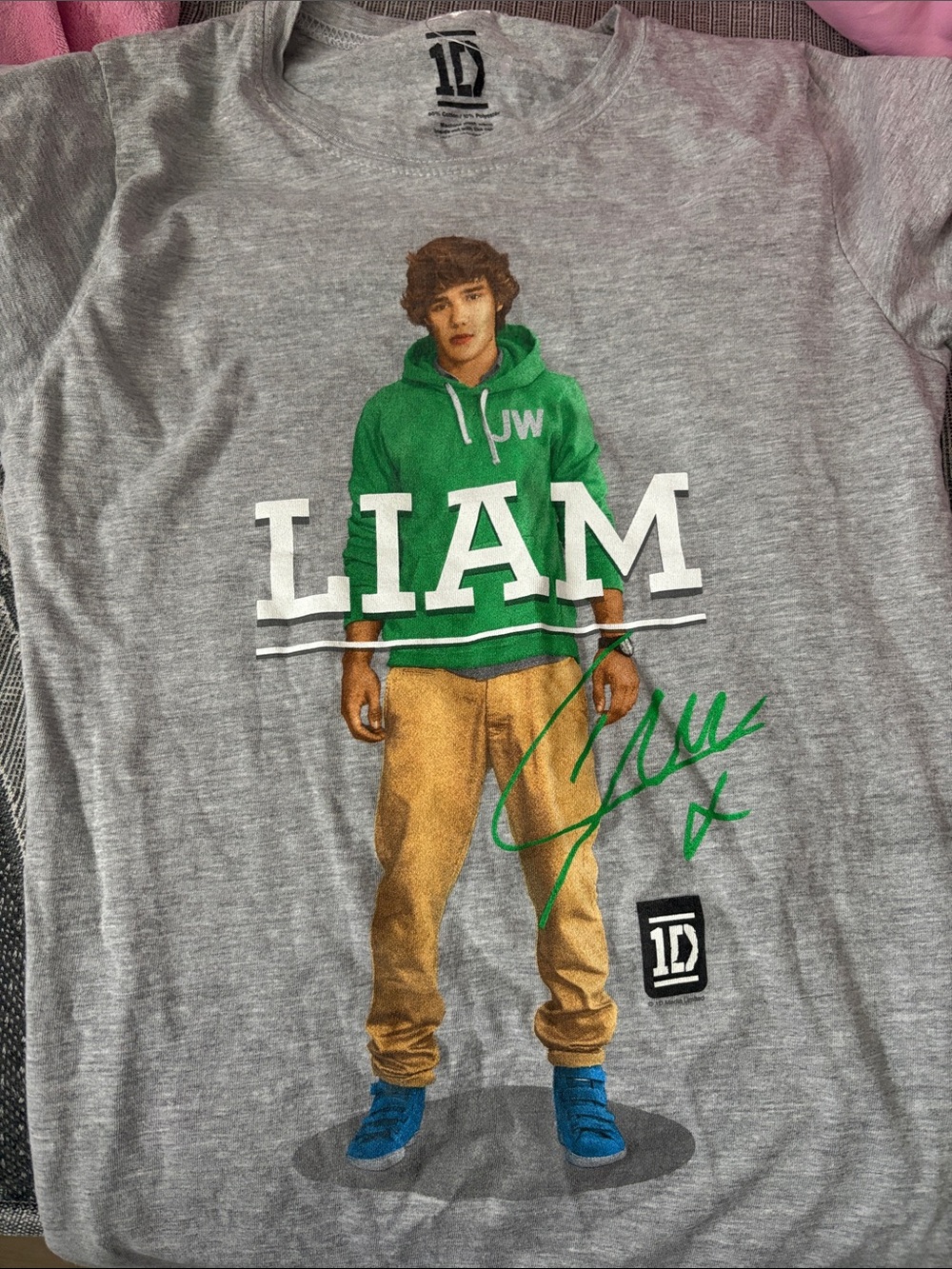 1D Liam Graphic Tee - Gray with Green, Tan, Blue Accents